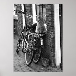 Póster Gatos de Ámsterdam sobre bicicletas Foto en blanco