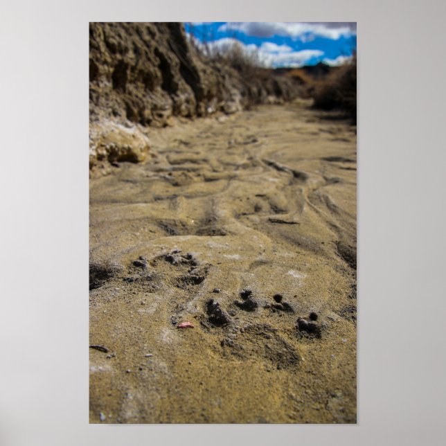 Póster Gatos de Badlands (Frente)