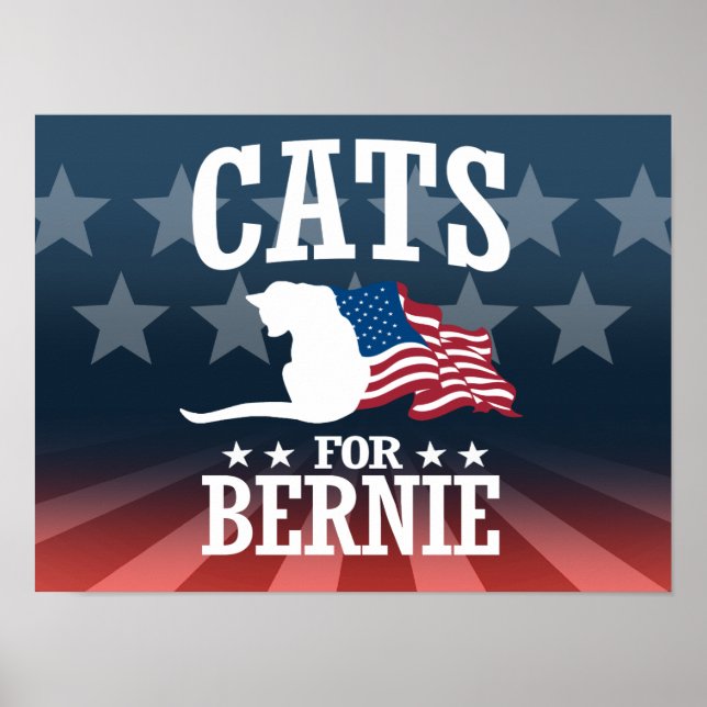 PÓSTER GATOS DE BERNIE SANDERS (Frente)
