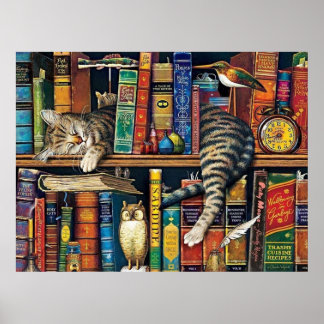 Póster Gatos de biblioteca de gatos