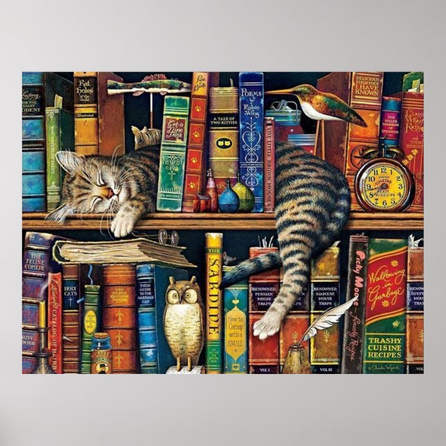 Póster Gatos de biblioteca de gatos (Frente)