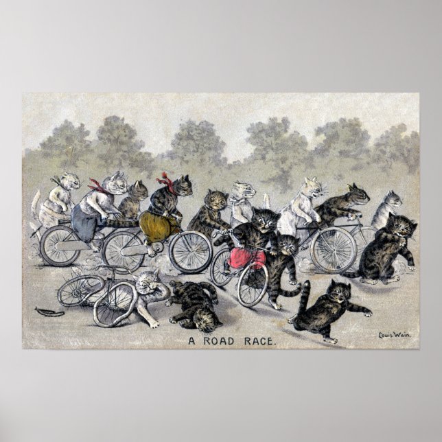 Póster Gatos De Bicicleta (Frente)