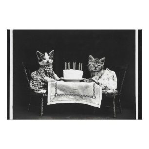 Póster Gatos de cosecha en una fiesta de cumpleaños