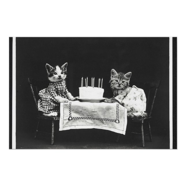 Póster Gatos de cosecha en una fiesta de cumpleaños (Anverso)