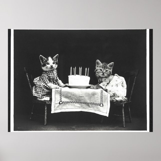 Póster Gatos de cosecha en una fiesta de cumpleaños (Frente)