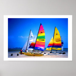 PÓSTER GATOS DE HOBIE EN JERSEY