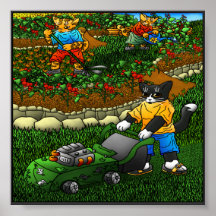 Gatos de jardinería de verano