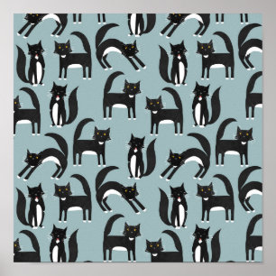 Póster Gatos de Tuxedo