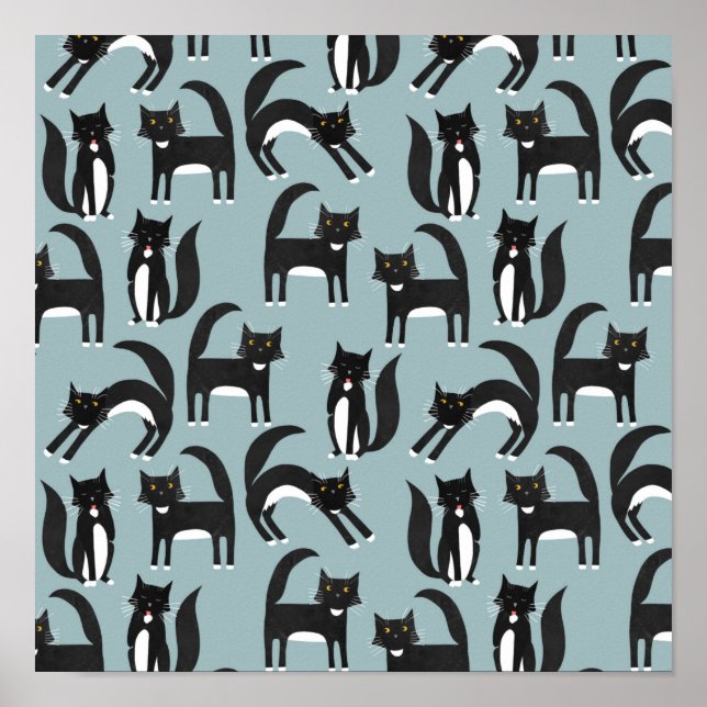 Póster Gatos de Tuxedo (Frente)