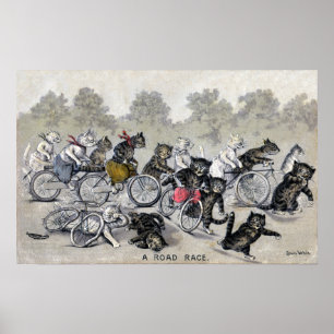 Póster Gatos del montar a caballo de la bicicleta