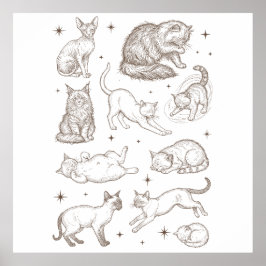 Póster Gatos Divertidos Antiguos con Múltiples Posturas