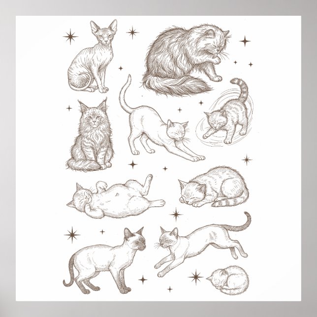 Póster Gatos Divertidos Antiguos con Múltiples Posturas (Frente)