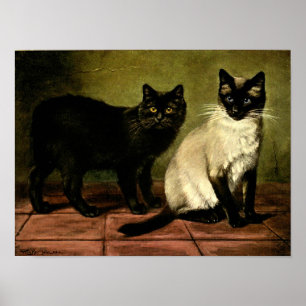 Póster Gatos en Poster blanco y negro