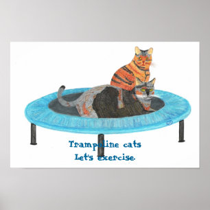 Póster Gatos en Trampolín Mini, Vamos a ejercitarnos Póst