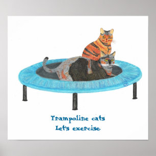 Póster Gatos en Trampolín Mini, ¡Vamos a hacer ejercicio 