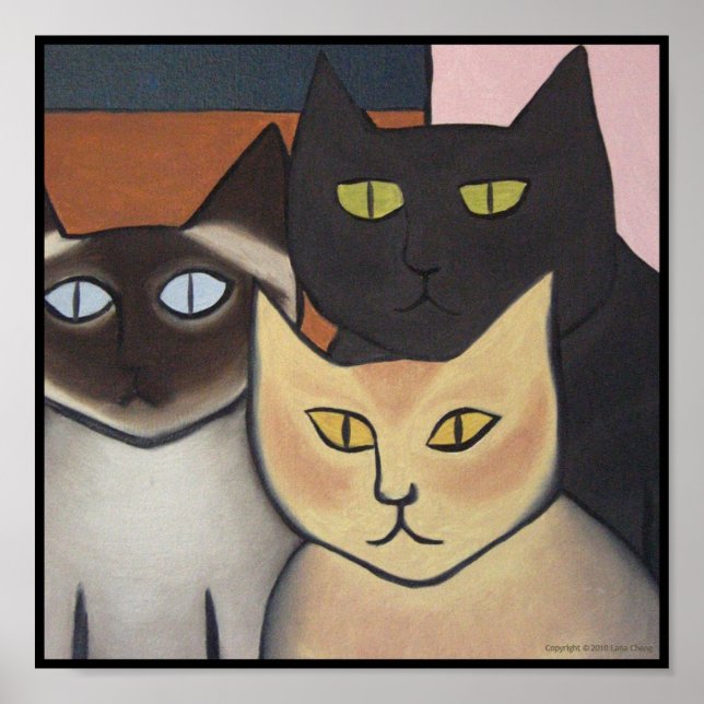 Póster Gatos espectaculares 1 (Frente)