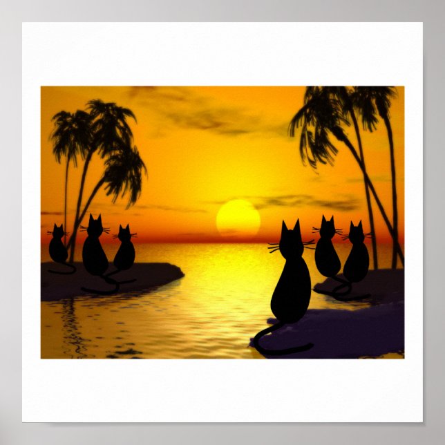 Póster gatos isleños al atardecer poster (Frente)