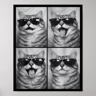 Póster Gatos Lindos con Gafas de Sol Foto de Animales Gat