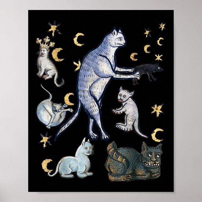 Póster Gatos Medievales Feos  (Frente)