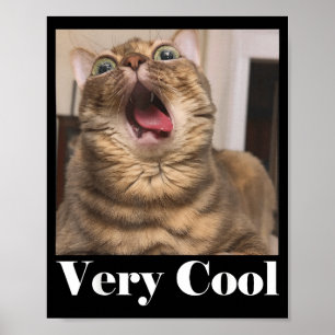 Póster Gatos Meme Gráfico Gato Tonto Humor Divertido Gato