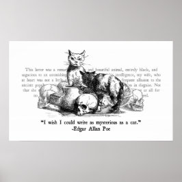 Póster Gatos misteriosos