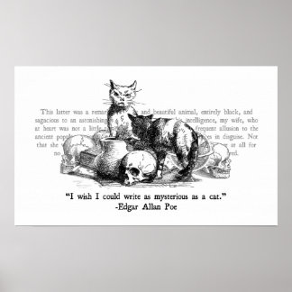 Póster Gatos misteriosos