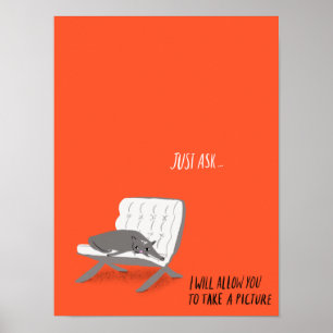 Póster Gatos Mod - Solo Pregúntenle