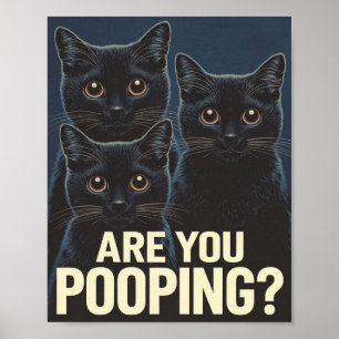 Póster Gatos Negros Divertidos ¿Estás Defecando? Amantes