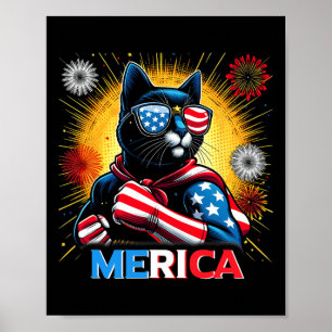 Póster Gatos Negros Patrióticos Fuegos Artificiales Bande