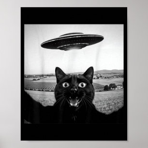 Póster Gatos Negros Selfie Ovni Alien Regalos Divertidos 