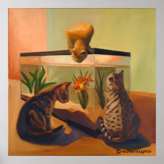 Póster Gatos observando peces