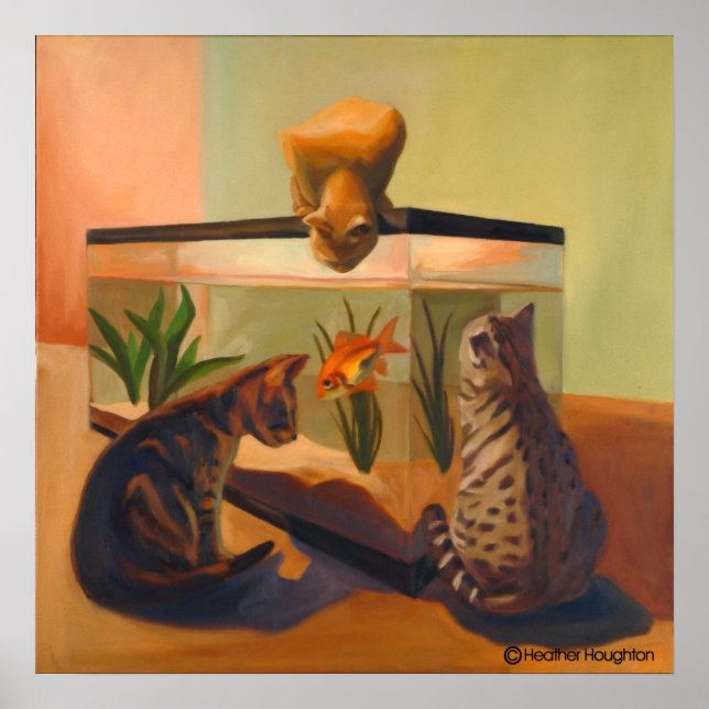 Póster Gatos observando peces (Frente)