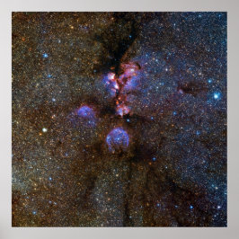 Póster Gatos Paw Nebula en Escorpio - imagen espacial
