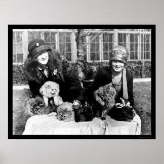 Póster Gatos persas y damas estadounidenses 1924