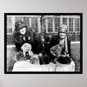 Póster Gatos persas y señoras americanas 1924