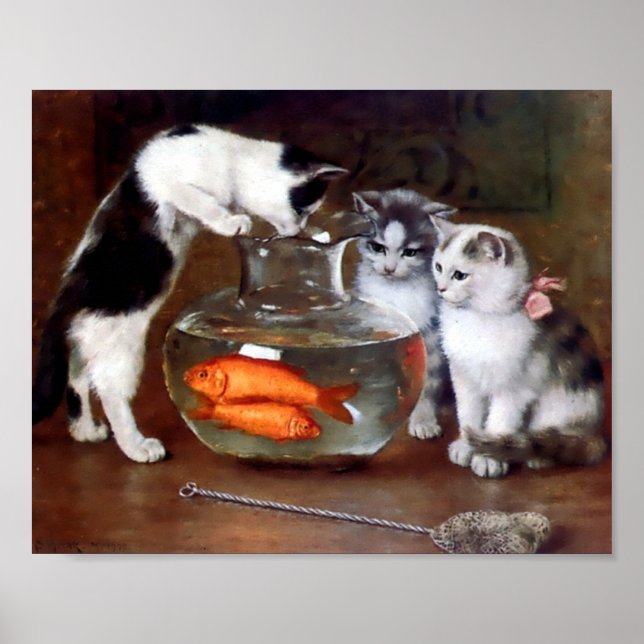 Póster Gatos pescando en la pecera (Frente)