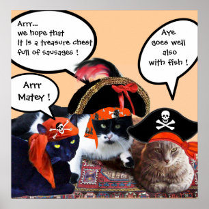 PÓSTER GATOS PIRATAS