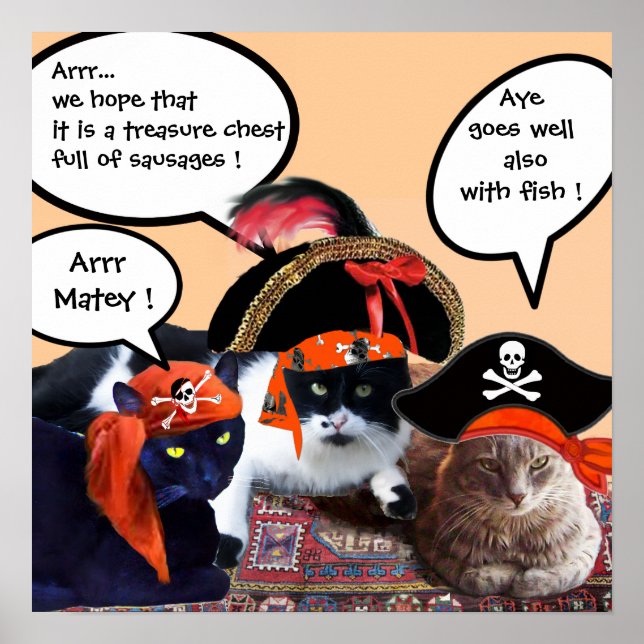 PÓSTER GATOS PIRATAS (Frente)