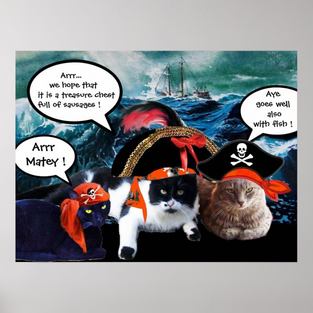 PÓSTER GATOS PIRATAS HABLANDO Y BARCO EN LA TORMENTA MARI (Frente)