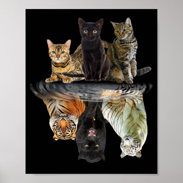 Póster Gatos Reflejan A Amantes De Gato Amantes Del Tigre (Frente)