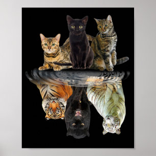 Póster Gatos Reflejan Amantes De Gato Amantes De Un Tigre