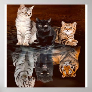 Póster Gatos Reflexión Agua, Graciosa Idea De Regalo De G