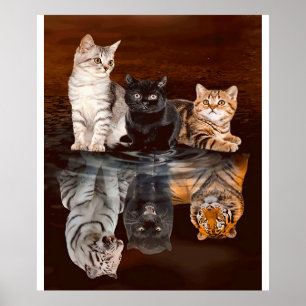 Póster Gatos Reflexión Agua, Graciosa Idea De Regalo De G