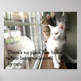 Póster Gatos sentados cerca de la ventana