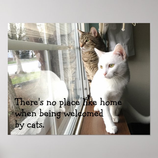 Póster Gatos sentados cerca de la ventana (Frente)