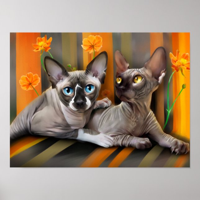 Póster Gatos Sphynx (Frente)