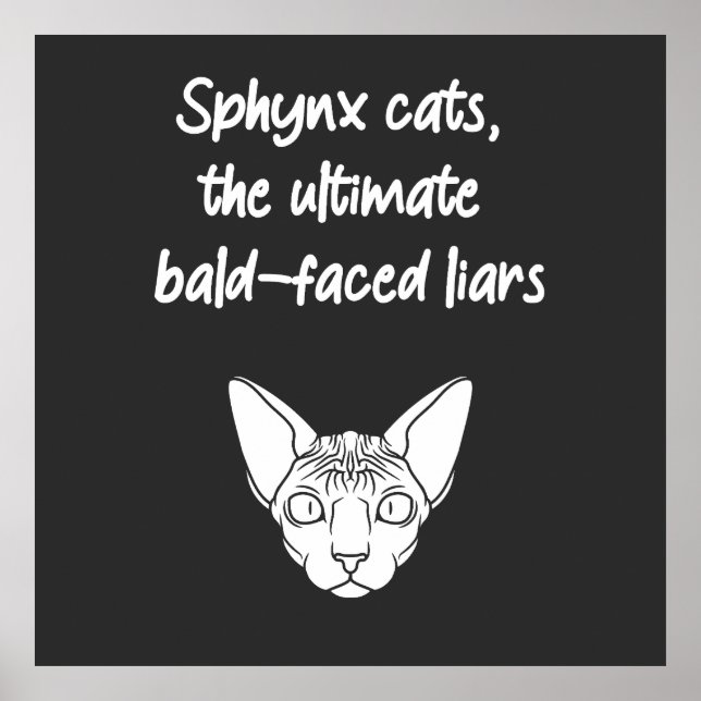 Póster Gatos Sphynx, Los Mentirosos Más Grandes De Cara C (Frente)