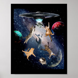 Póster Gatos Ufo Para Adultos Galaxia Gatos Cute Amante