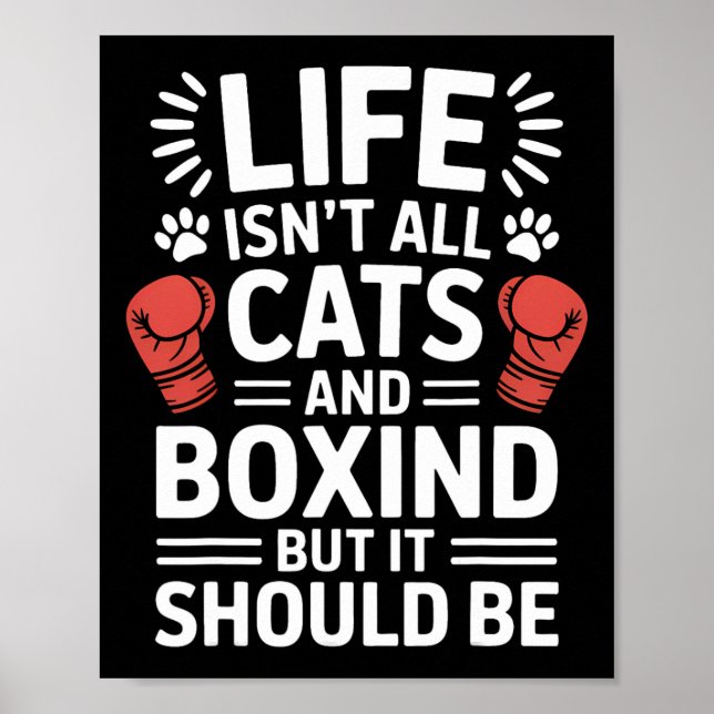 Póster Gatos Y Boxeo Gracioso (Frente)