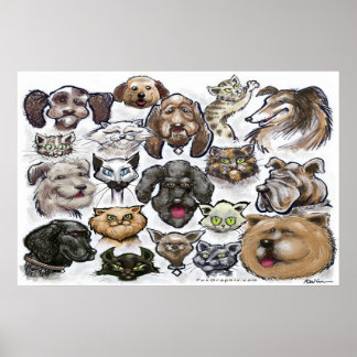 Póster Gatos y perros